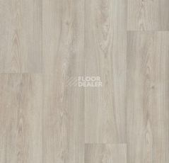 Линолеум Forbo Eternal Wood 10322 white chestnut фото 1 | FLOORDEALER